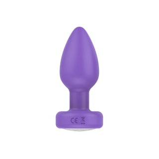 Pr17: VIBRATING PLUG W/ REMOTE