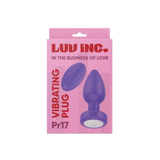 Pr17: VIBRATING PLUG W/ REMOTE