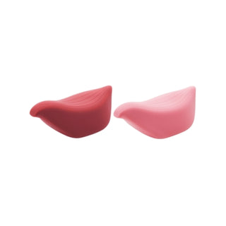 iroha + TORI