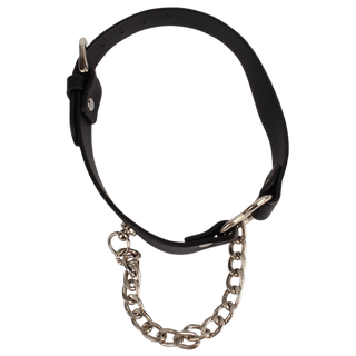 Heart Collar with a Chain
