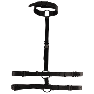 Collar Body Restraint