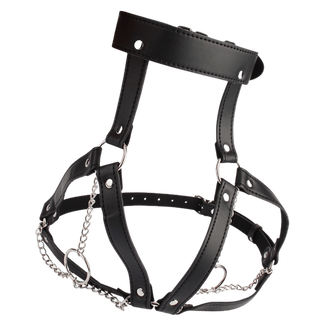 Breast Harness with O-ring chains